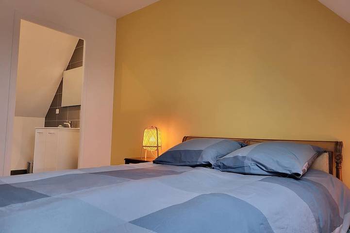 Location de vacances pour 8 personnes, avec terrasse et jardin à Gelles - 4