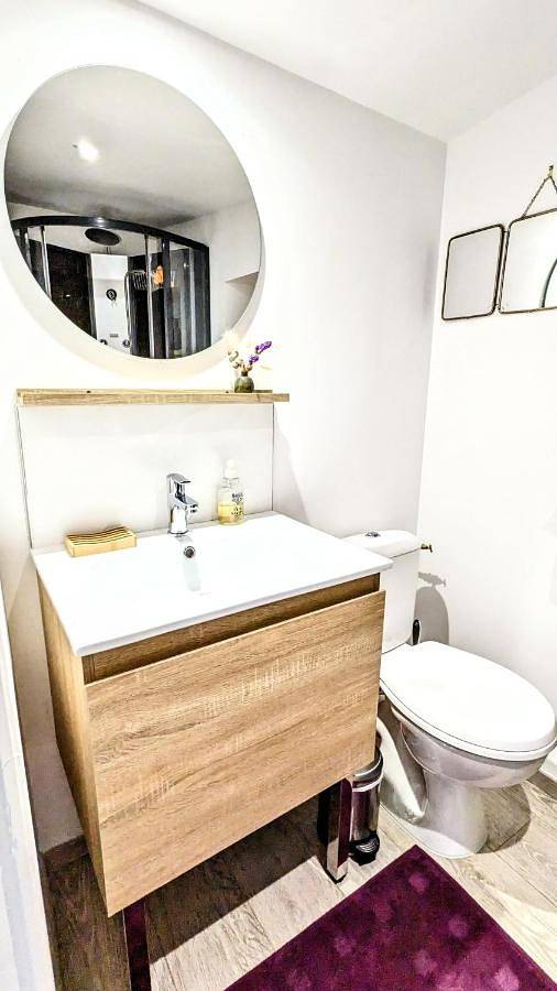 Appartement entier, One-Bedroom Apartment in Sainte-Savine, Aube
