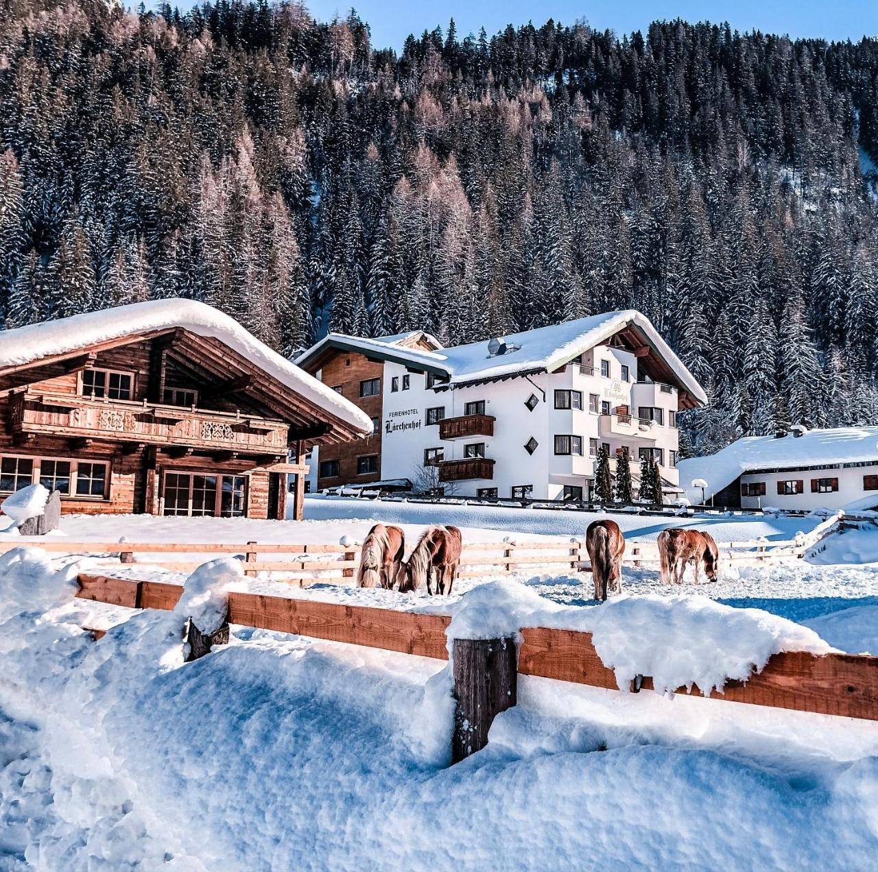 Hotel Lärchenhof in Kaunergrat, Kaunertal