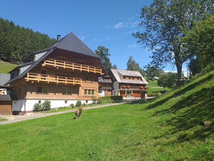 Ferienwohnung für 4 Personen, mit Balkon und Terrasse sowie Garten und Ausblick in Triberg