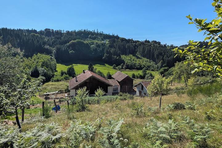 Chalet pour 3 personnes, avec jardin et jacuzzi dans les Vosges