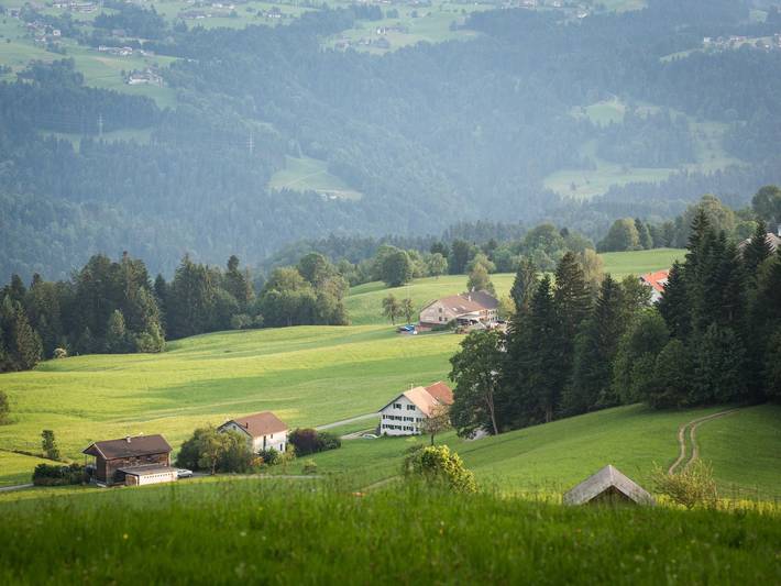 Ganze Ferienwohnung, Haus Erna - Ferienwohnung für 2-5 Personen in Bregenzerwald (Vorarlberg), Doren