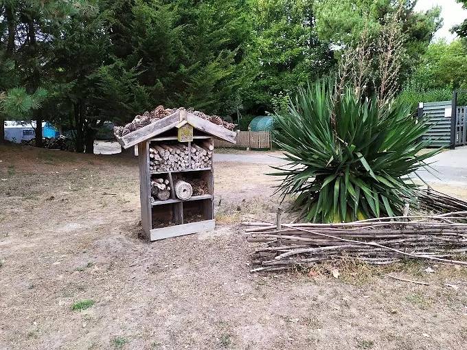 Gîte pour 6 personnes, avec terrasse et piscine à Étaples - 4