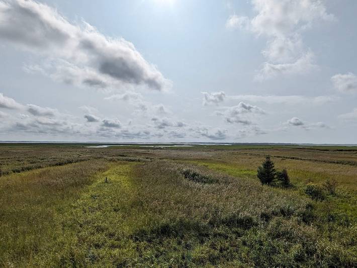 Ferienhaus für 8 Personen, mit Garten und Terrasse sowie Sauna, kinderfreundlich in Nissum Fjord - 2