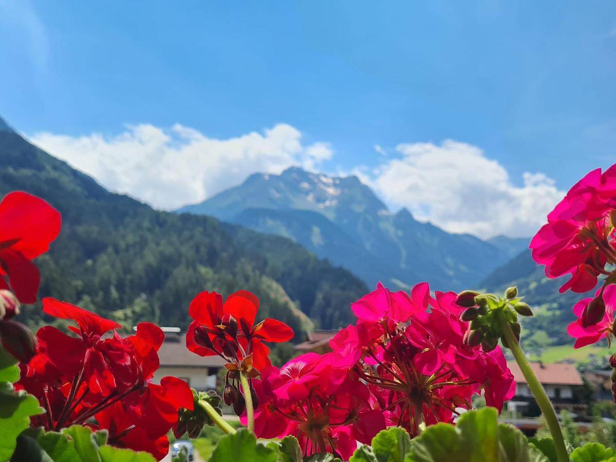 Scheulinghof in Mayrhofen, Zillertaler Alpen