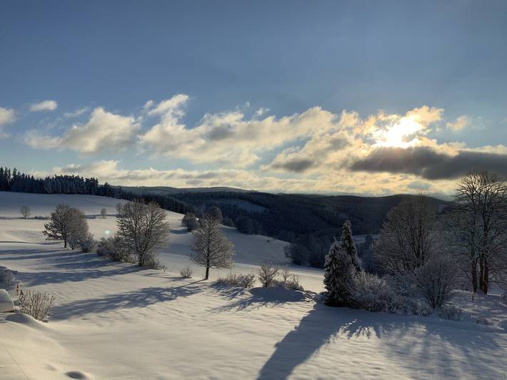 Ferienwohnung für 5 Personen, mit Garten und Sauna in Suedlicher Schwarzwald - 2