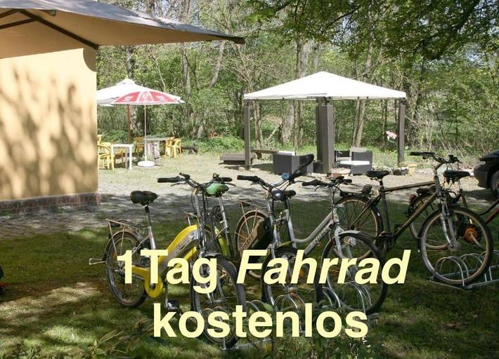 Ferienwohnung für 3 Personen, mit Terrasse und Garten sowie Ausblick in Stechlin - 2