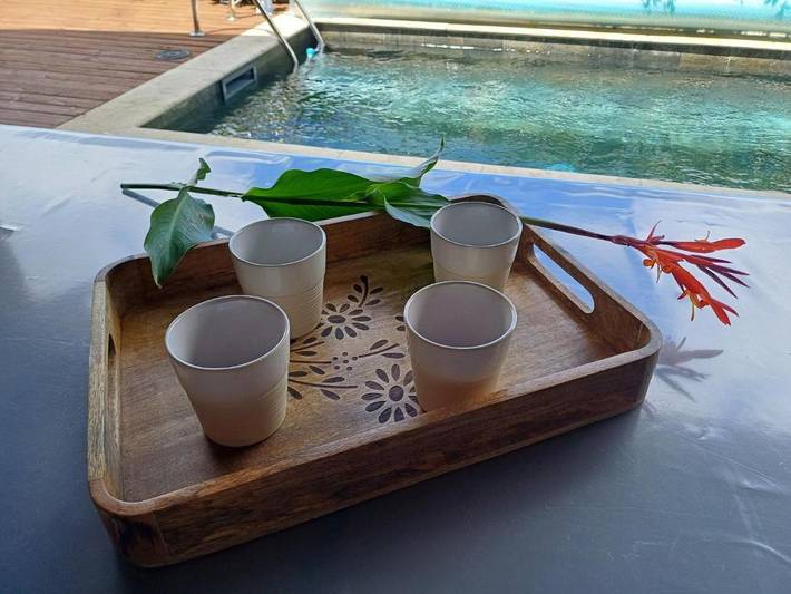 Location de vacances pour 6 personnes, avec vue ainsi que jardin et piscine dans Trois Mares - 3