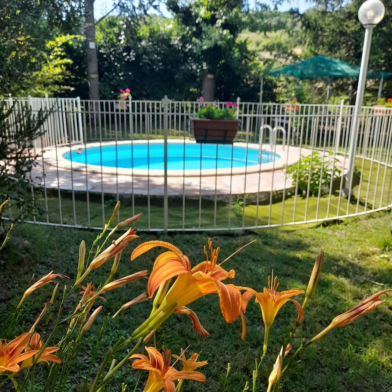 Casa vacanza a Firenze province a partire da 338€ a notte