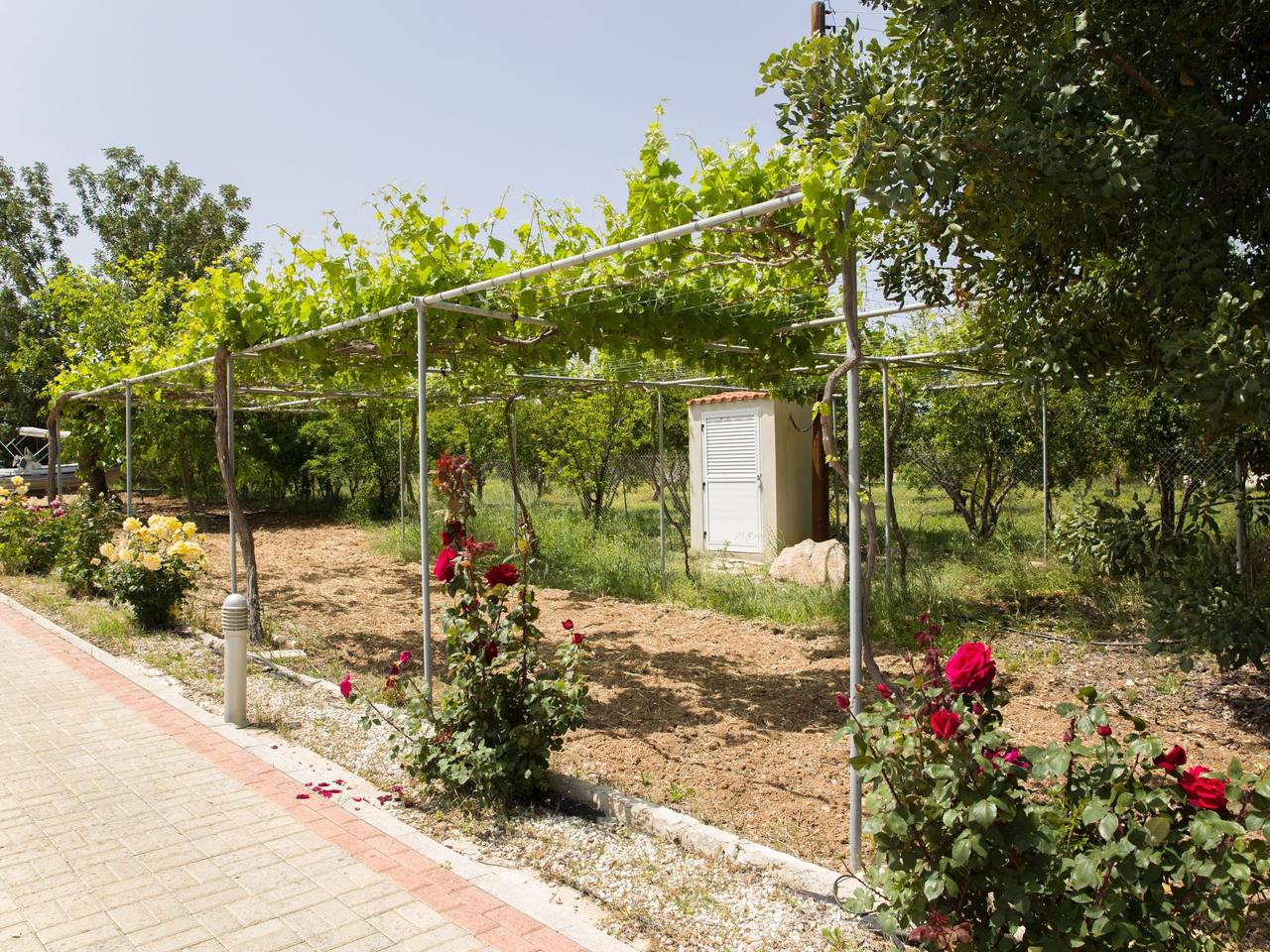 Mit Privatpool für 8 Personen ca. 220 m² in Neo Chorio, Halbinsel Akamas in Südzypern