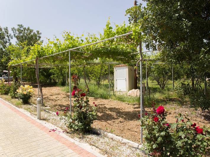 Bungalow für 8 Personen, mit Garten und Pool sowie Terrasse auf Zypern - 4