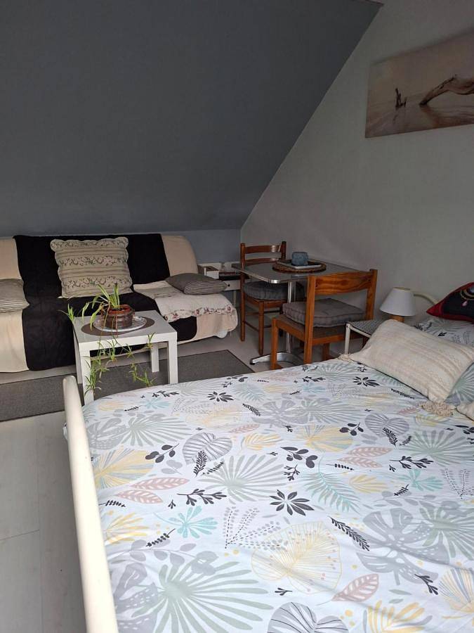 Gîte pour 2 personnes, avec jardin à Limeray - 4