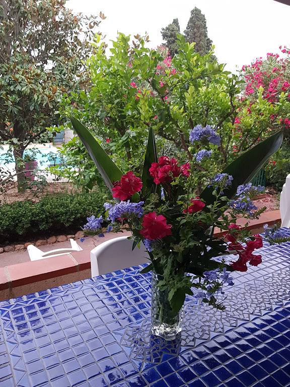 Chambre d’hôte pour 3 personnes, avec piscine et jardin dans les Pyrénées-Orientales - 2