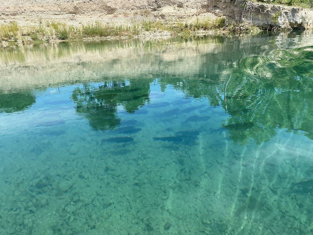 Nueces Riverfront Treehouse in Uvalde County