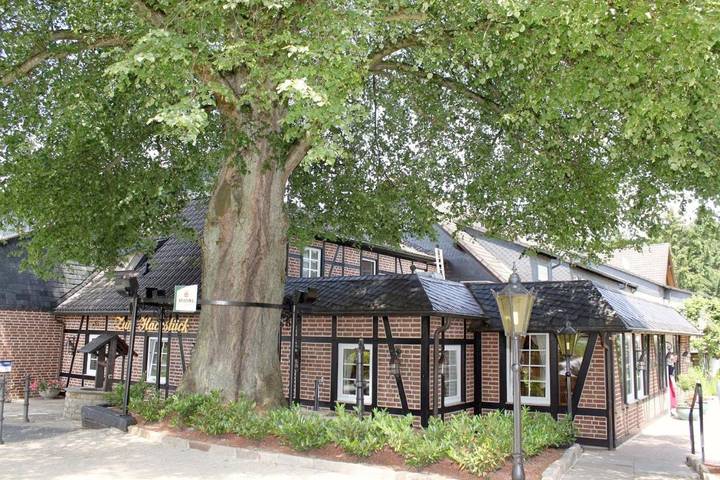 Hotel für 2 Personen, mit Terrasse und Garten sowie Sauna in Hattingen - 3