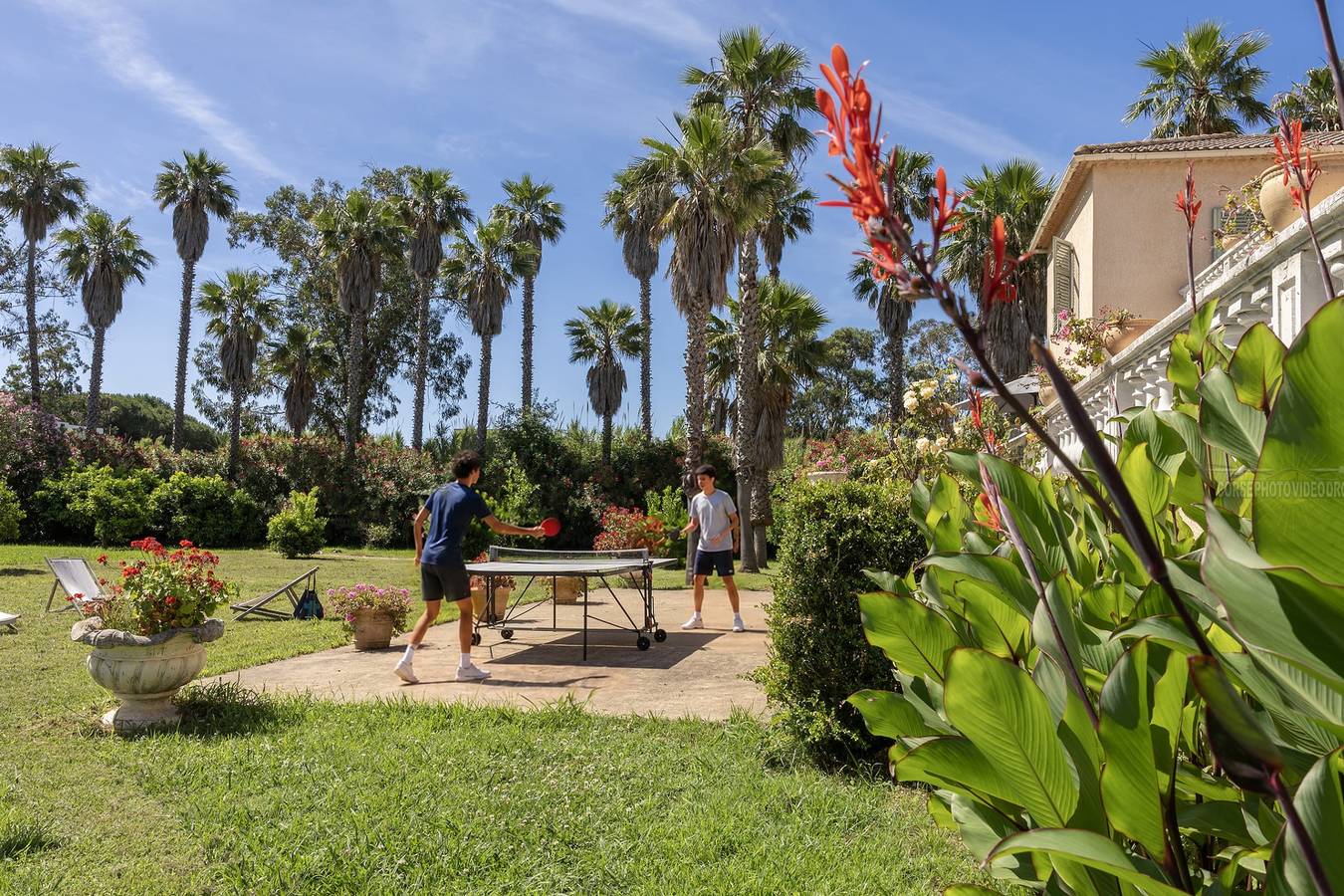 Villa Washingtonia - villa de charme avec accès privé à la plage in Taglio-Isolaccio, Arrondissement de Corte