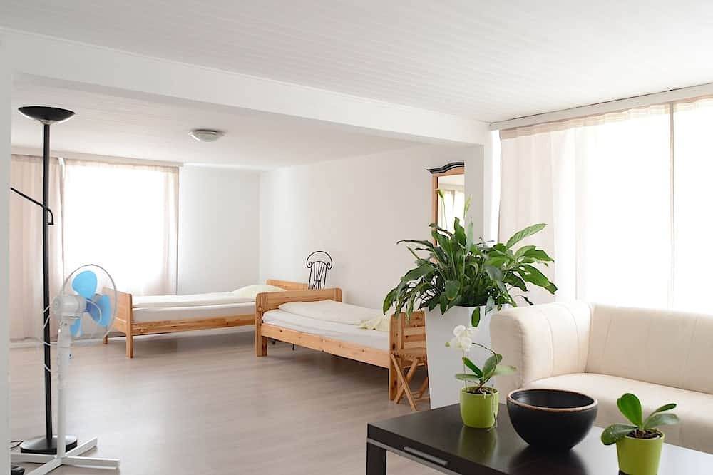 Ganze Wohnung, Großes Appartement, 2 min vom Bodensee entfernt, mit Balkon. Haustierfreundlich! in Ermatingen, Untersee