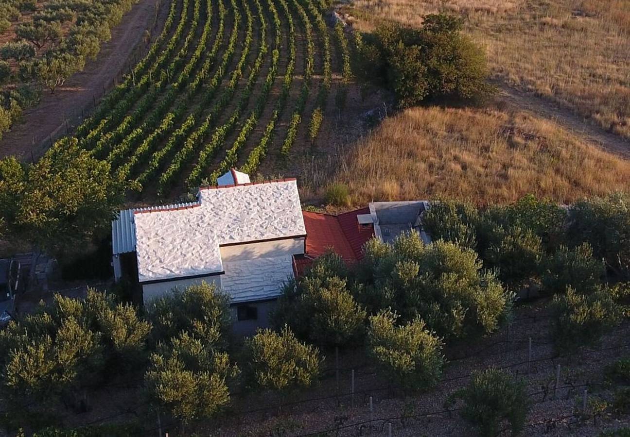 House Tomy in Bol, Brac