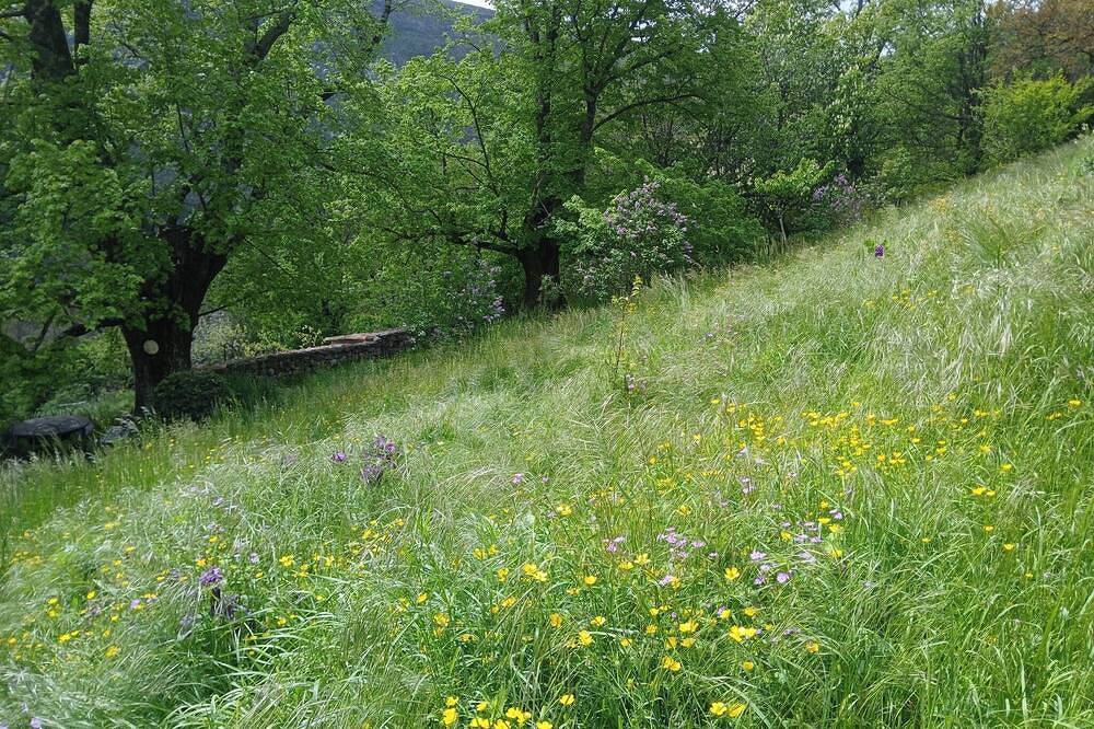 Château de Chasteuil: Serene Verdon Retreat for 2–9 pers. with Stunning Views in Castellane, Verdon Regional Natural Park