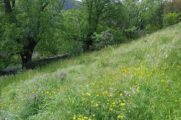 Maison De Vacances pour 9 Personnes dans Castellane, Gorges du Verdon, Photo 4