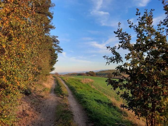 Ferienwohnung für 5 Personen, mit Ausblick in Markersdorf - 3