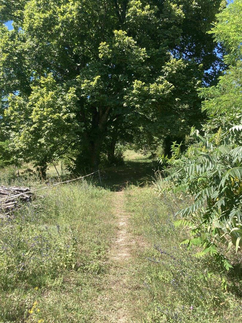 Gîte pour amoureux de la nature in Forcalquier, Parc naturel régional du Luberon