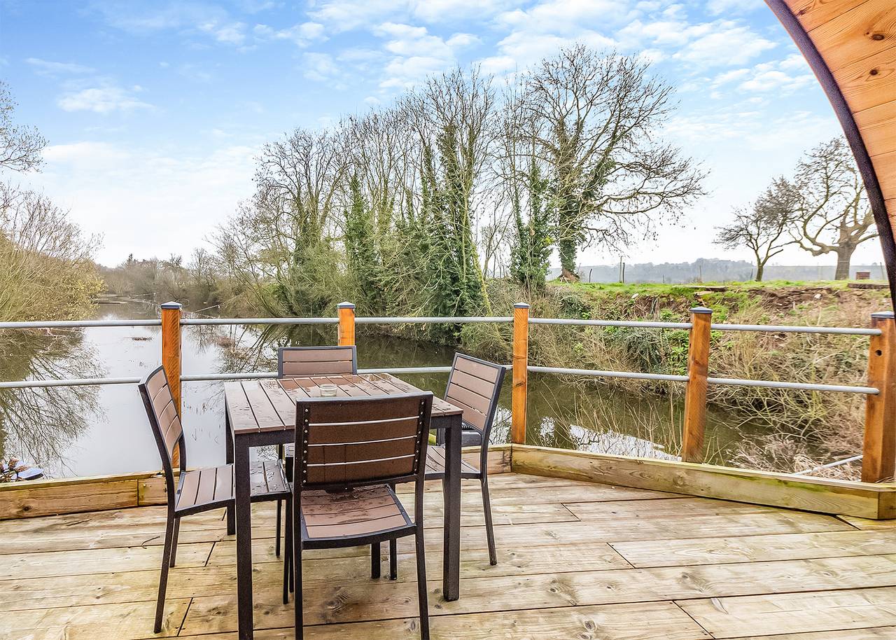 Swan in Gunthorpe (Nottinghamshire), Nottinghamshire