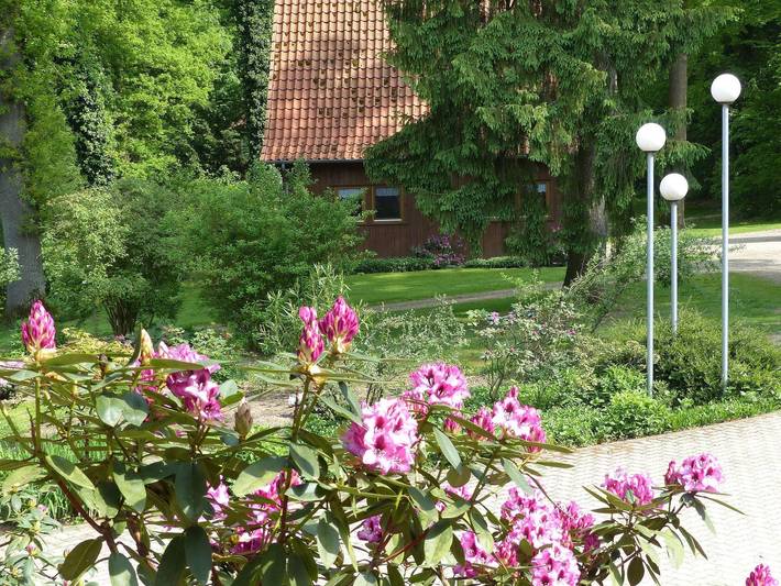 Ferienhaus für 4 Personen, mit Terrasse und Garten in Landkreis Heidekreis - 2