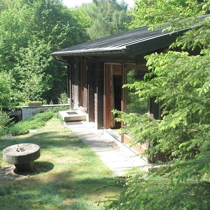 Ferienhaus für 5 Personen, mit Garten und Sauna sowie Terrasse, mit Haustier im Hunsrück - 3