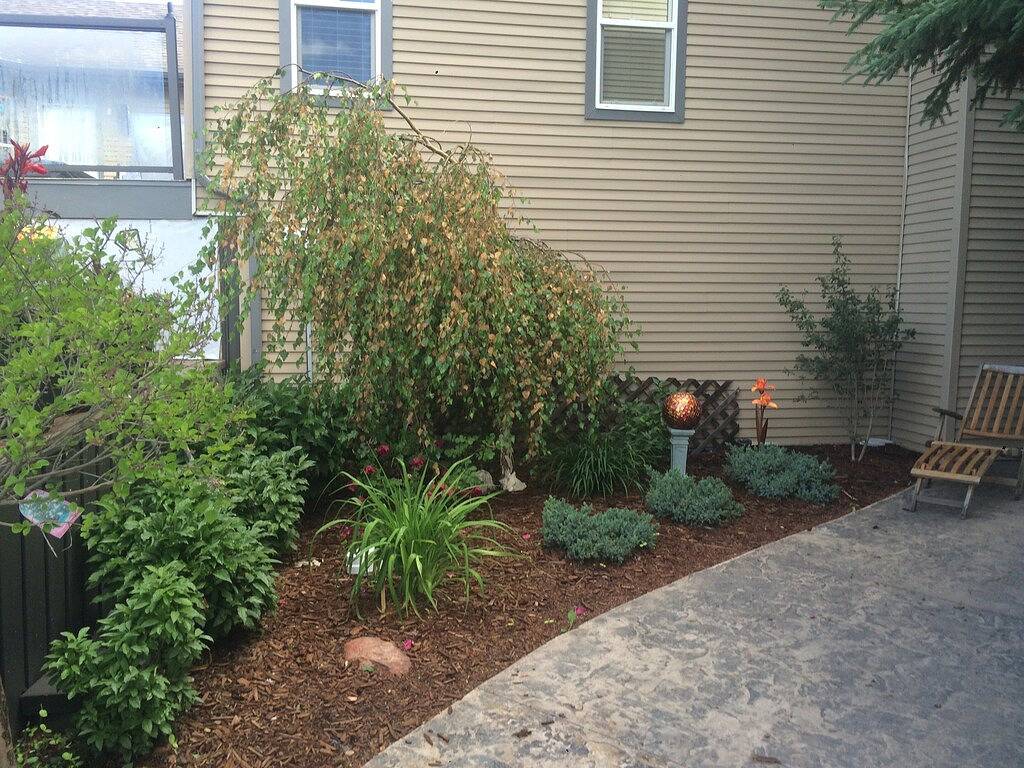 Ruhiges, entspannendes Zuhause auf einer Fläche, nur wenige Minuten vom Sylvan Lake entfernt in Sylvan Lake