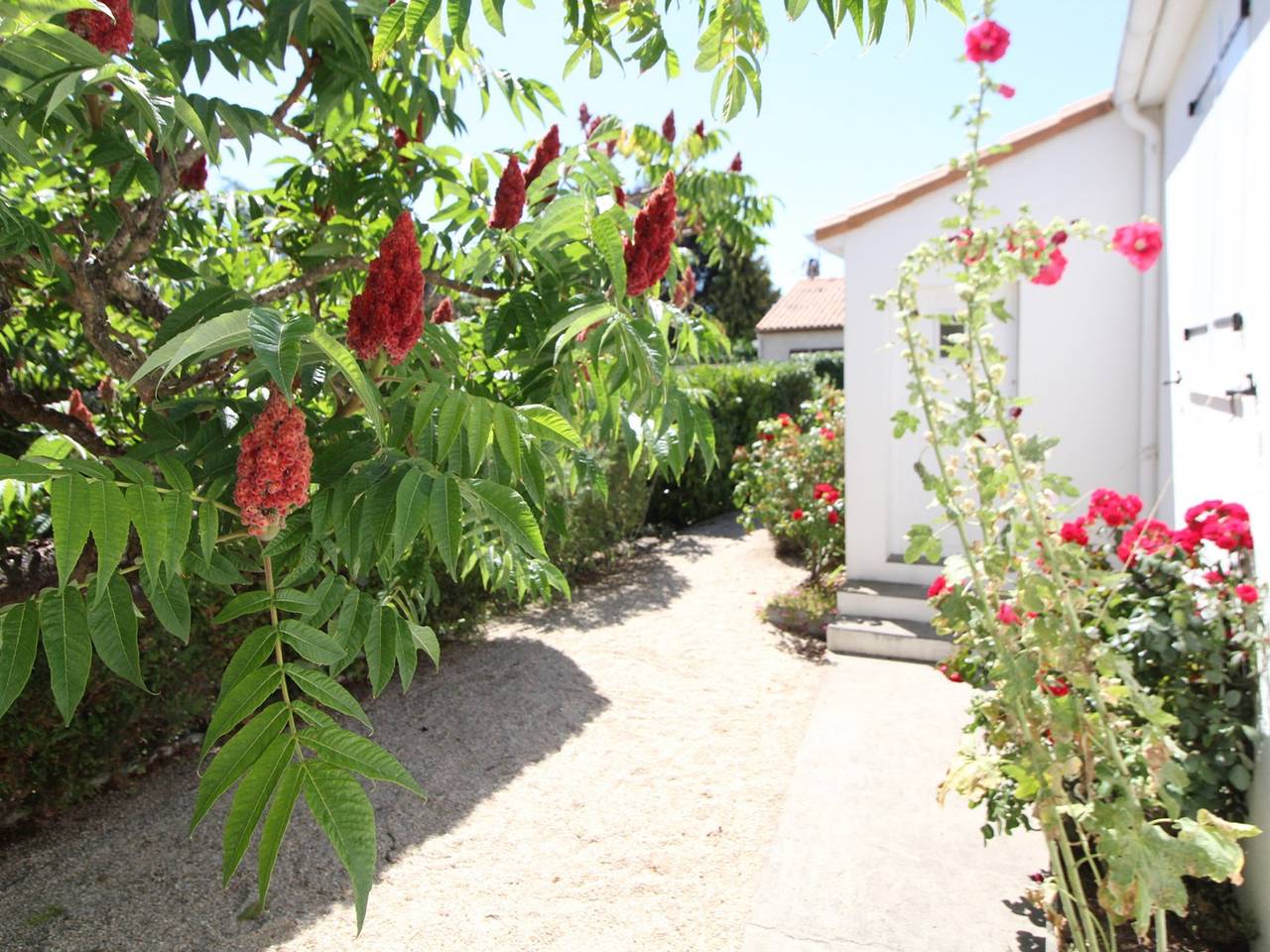 Maison de plain-pied avec jardin clos, proche de la plage et des commerces in Saint-Georges-de-Didonne, Côte de Beauté