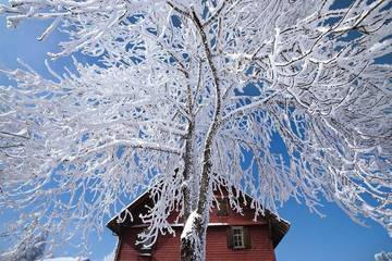 Location de vacances pour 2 personnes, avec terrasse, animaux acceptés à Kandergrund