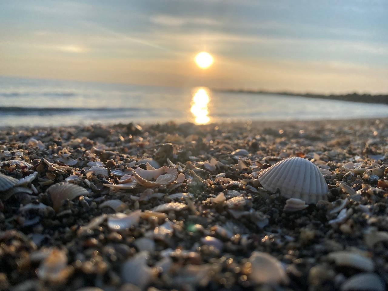 Ganze Ferienwohnung, Haus Seemeile - Fewo Seeluke - 2-Raum-Ferienwohnung Seeluke Nr. in Hafen Büsum, Büsum