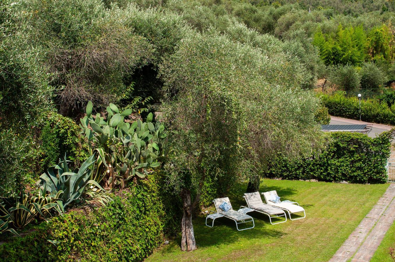 Villa 'Due Ulivi' avec terrasse privée, jardin privé et Wi-Fi in Commune de Lavagna, Riviera di Levante