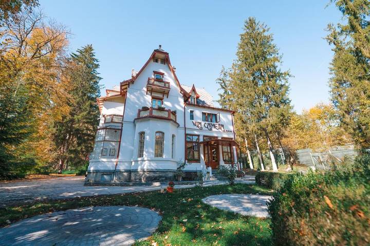Hôtel pour 3 personnes, avec vue et jardin à Sinaia - 3