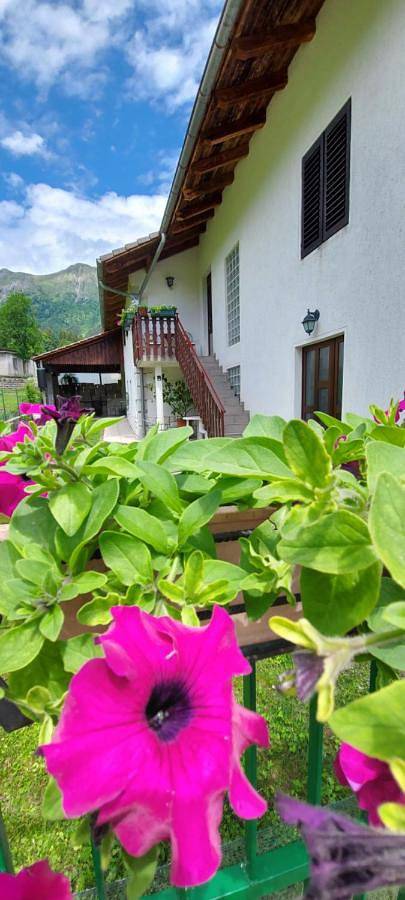 Gîte pour 6 personnes, avec vue et terrasse à Kobarid - 3