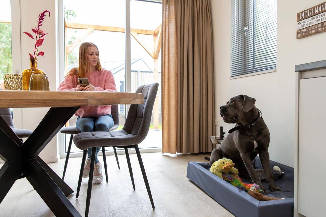Bungalow with Garden View in Hardenberg, Regio Zwolle