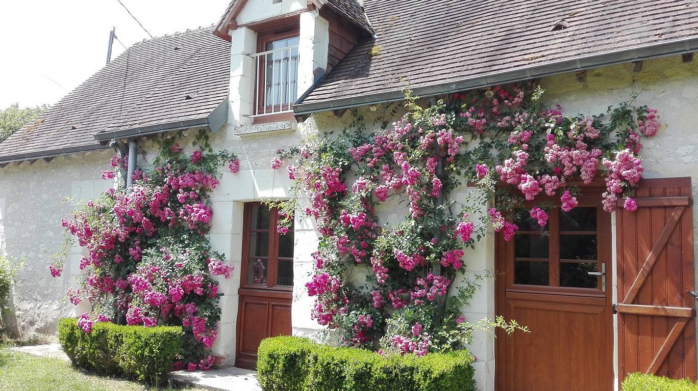 Gîte Ô Beauval Zoo Saint-Aignan-sur-Cher in Saint-Aignan, Région de Romorantin-Lanthenay