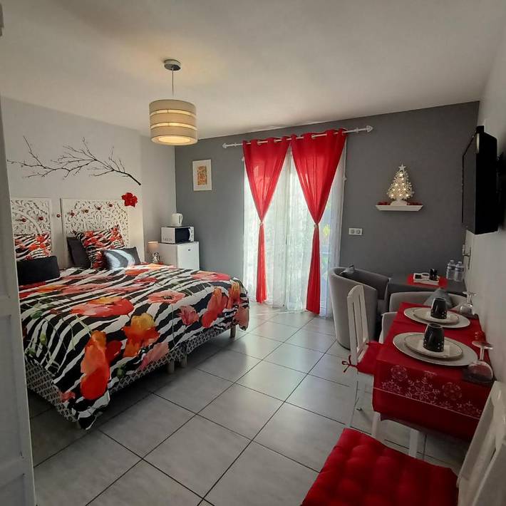 Location de vacances pour 2 personnes, avec jardin et jacuzzi à Adast - 3