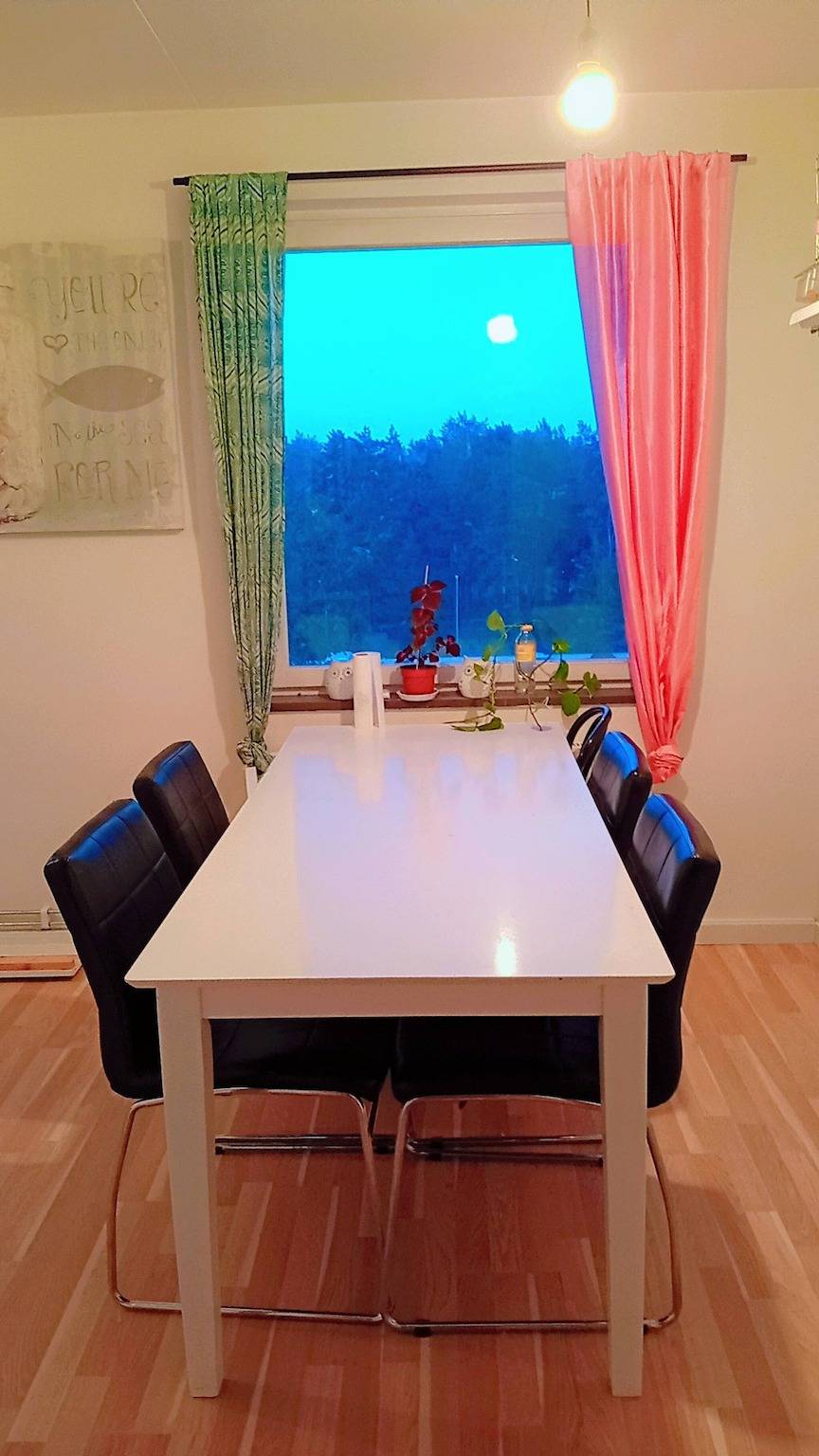 Ganze Wohnung, Augustsodermans Tasche 2 in Uppsala