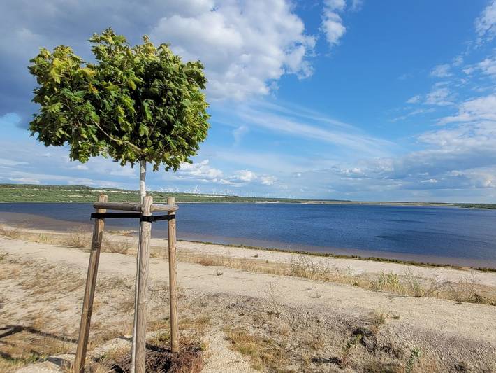 Ferienhaus für 4 Personen, mit Garten und Seeblick sowie Terrasse, kinderfreundlich in Niederlausitz - 3