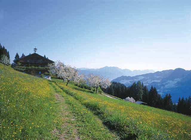 Einzelzimmer ohne Balkon in Alpbach, Kaisergebirge