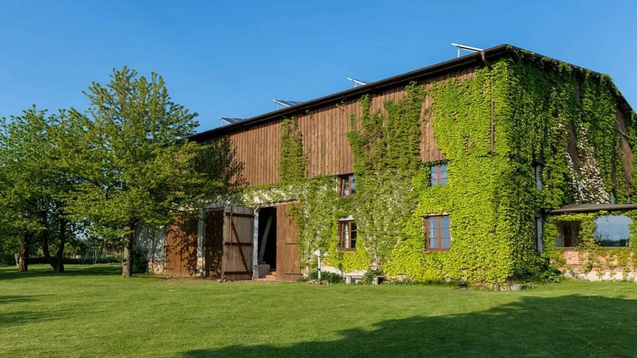 Ferienhaus für 2 Personen (25 m²) in Thorstorf in Thorstorf, Warnow