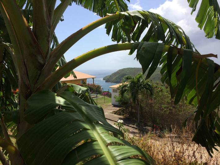 Location de vacances pour 4 personnes, avec jardin et terrasse à Les Anses-d'Arlet - 3