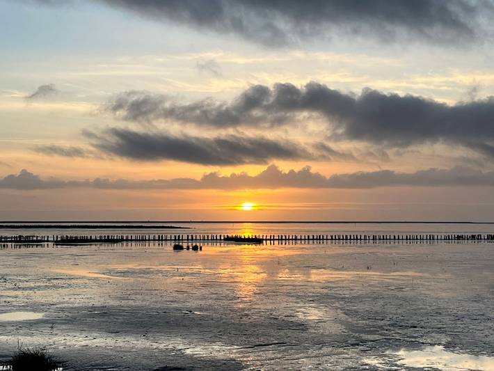Ferienhaus für 6 Personen, mit Terrasse und Garten in Friedrichskoog - 3