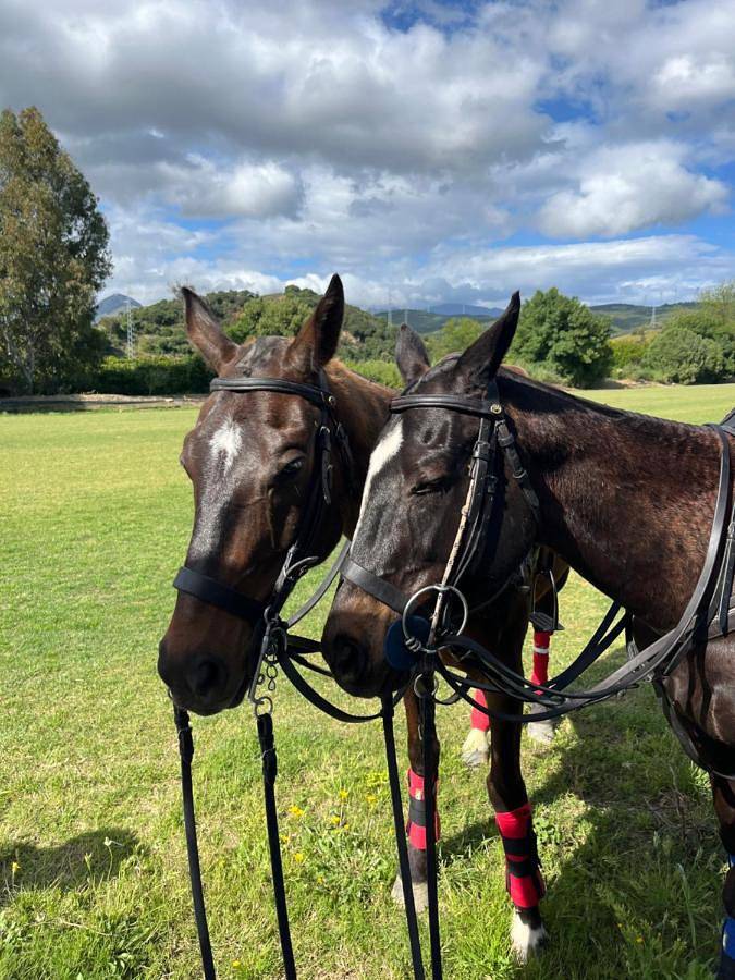Sotogrande Polo Experience Luxury Villa in Sotogrande, San Roque