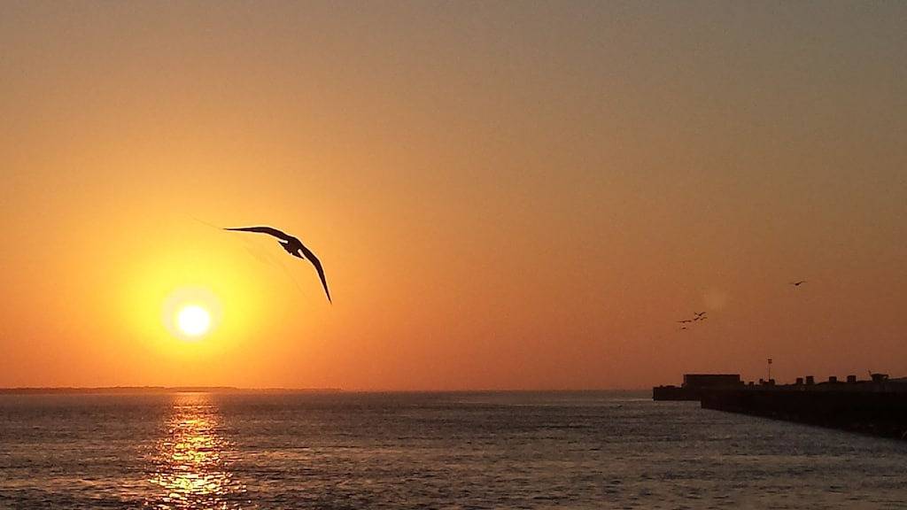 Ganze Wohnung, 3 Br/2 Ba condo, Heart of Town and Near the Beach! Huge Deck and Pet-Friendly! in Port Aransas, Mustang Island