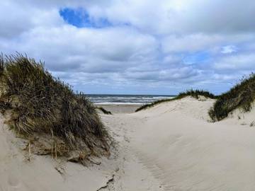 Ferienhaus für 6 Personen in Henne Strand, Dänemark an der Nordsee, Bild 3