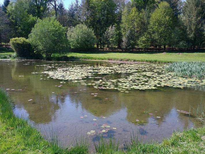 Location de vacances pour 6 personnes, avec vue et jardin à Compreignac - 4