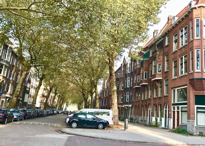 B&B für 6 Personen in Rotterdam